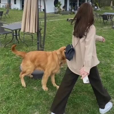 羊城风暴